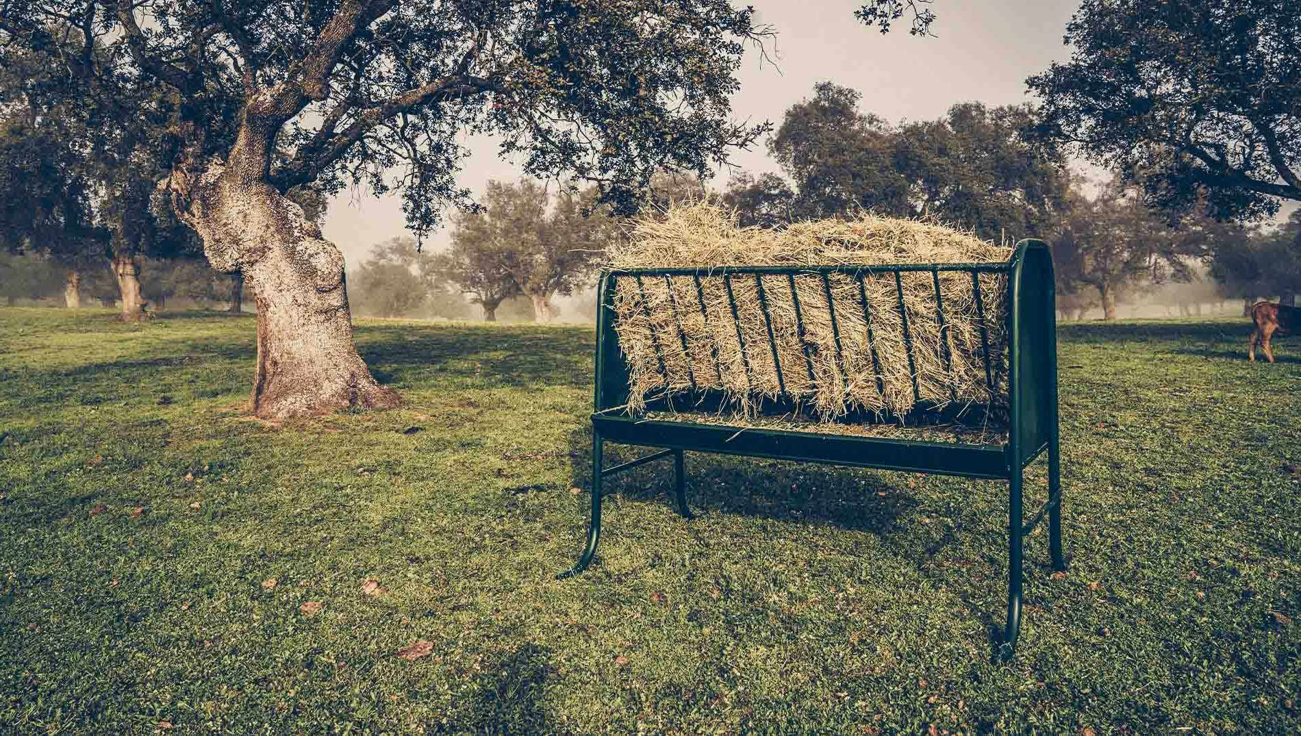 Mangeoires pour le bétail